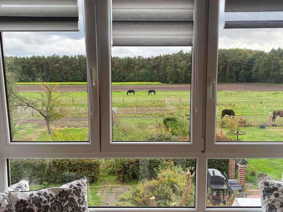 Wunderschoene Ferienwohnung Auf Dem Bauernhof Greven Exteriör bild