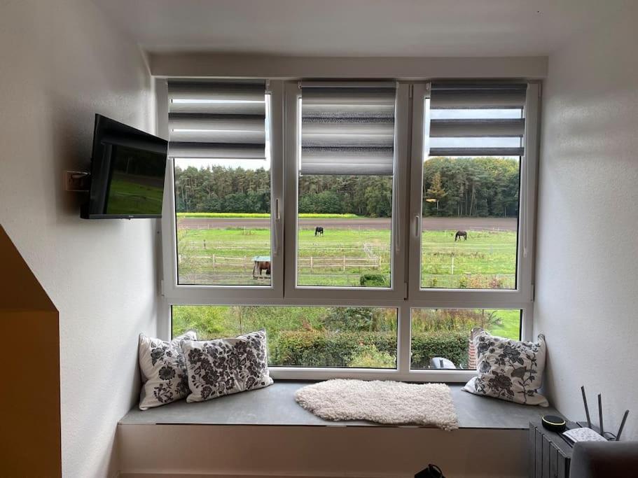 Wunderschoene Ferienwohnung Auf Dem Bauernhof Greven Exteriör bild