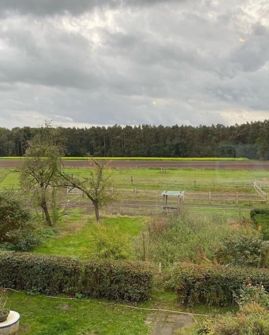 Wunderschoene Ferienwohnung Auf Dem Bauernhof Greven Exteriör bild