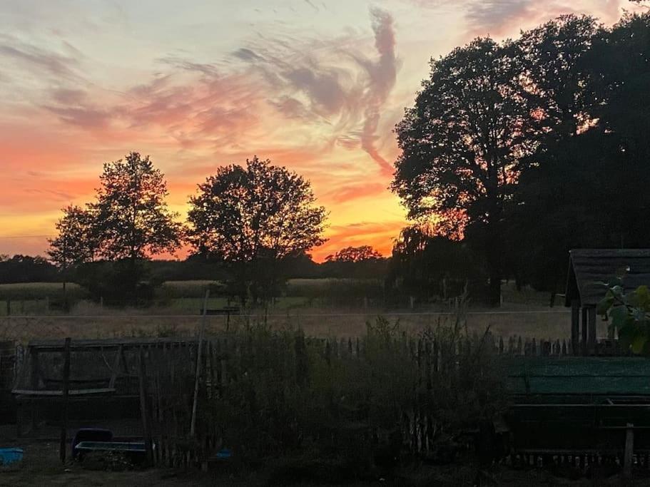 Wunderschoene Ferienwohnung Auf Dem Bauernhof Greven Exteriör bild