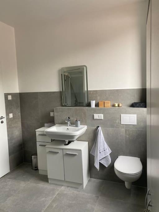 Wunderschoene Ferienwohnung Auf Dem Bauernhof Greven Exteriör bild