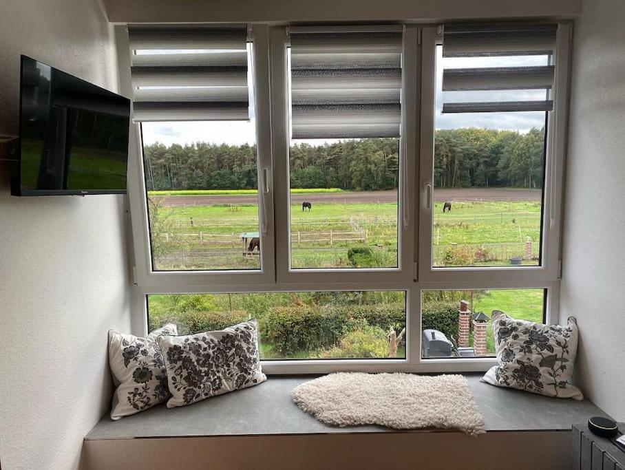 Wunderschoene Ferienwohnung Auf Dem Bauernhof Greven Exteriör bild